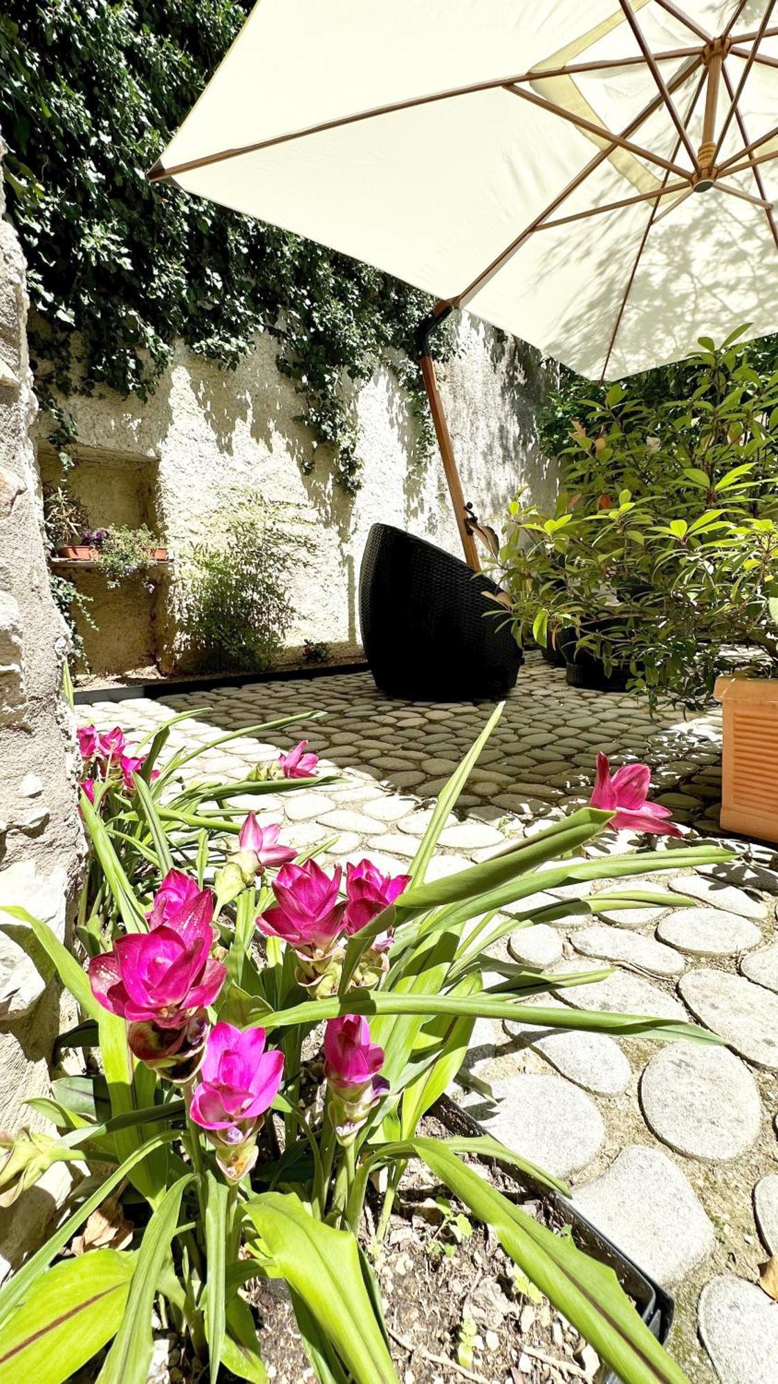 Borgo Dei Sogni Apartment San Felice del Benaco Exterior foto
